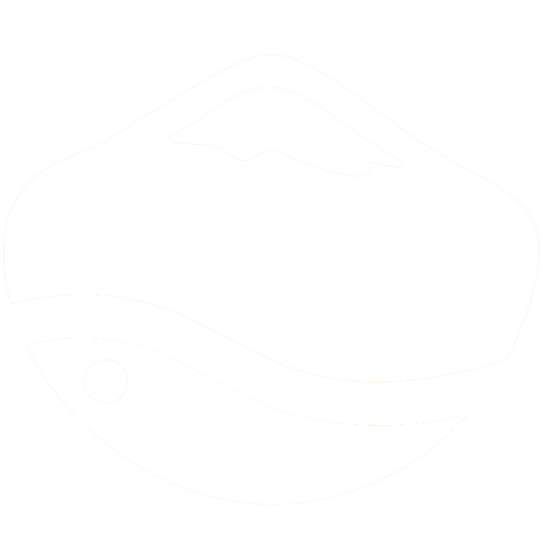 CEVICHES PUERTO VARAS